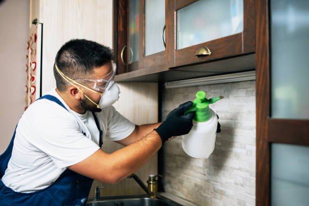 Best Emergency Pest Control  in Dunellen, NJ