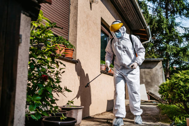 Best Residential Pest Control  in Dunellen, NJ