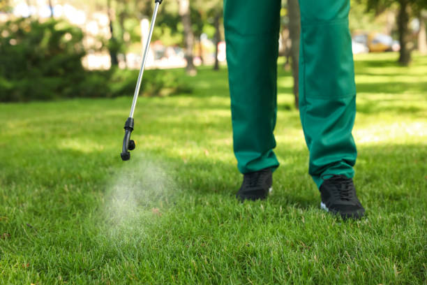 Best Affordable Pest Control Services  in Dunellen, NJ