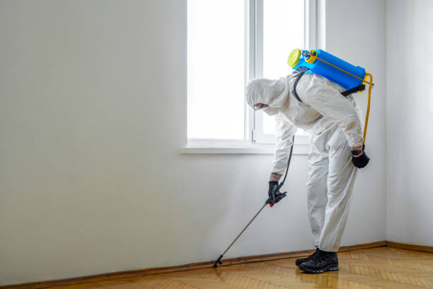 Best Flea Control Services  in Dunellen, NJ