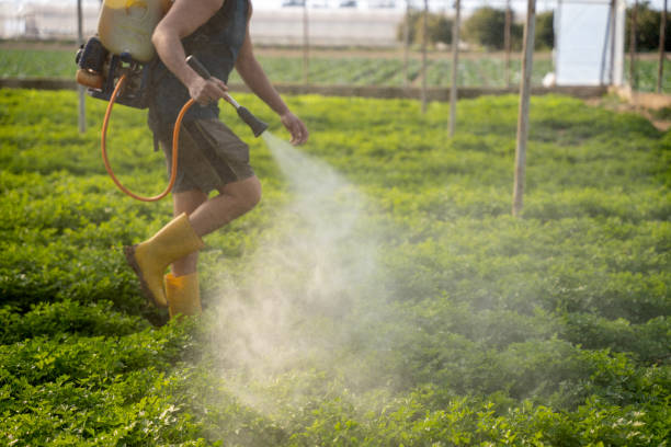 Best Best Pest Control Companies  in Dunellen, NJ
