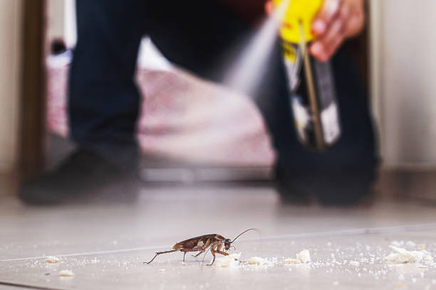 Best Bed Bug Extermination  in Dunellen, NJ