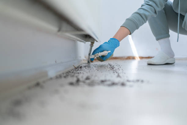 Best Pest Inspection Near Me  in Dunellen, NJ