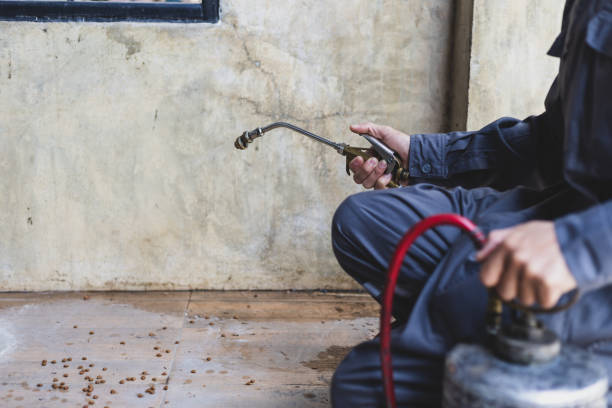 Best Wasp Removal Services  in Dunellen, NJ